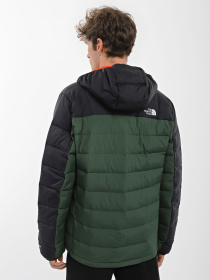 Куртки и дубленки The North Face модель NF0A7WZWI0P1 Фото