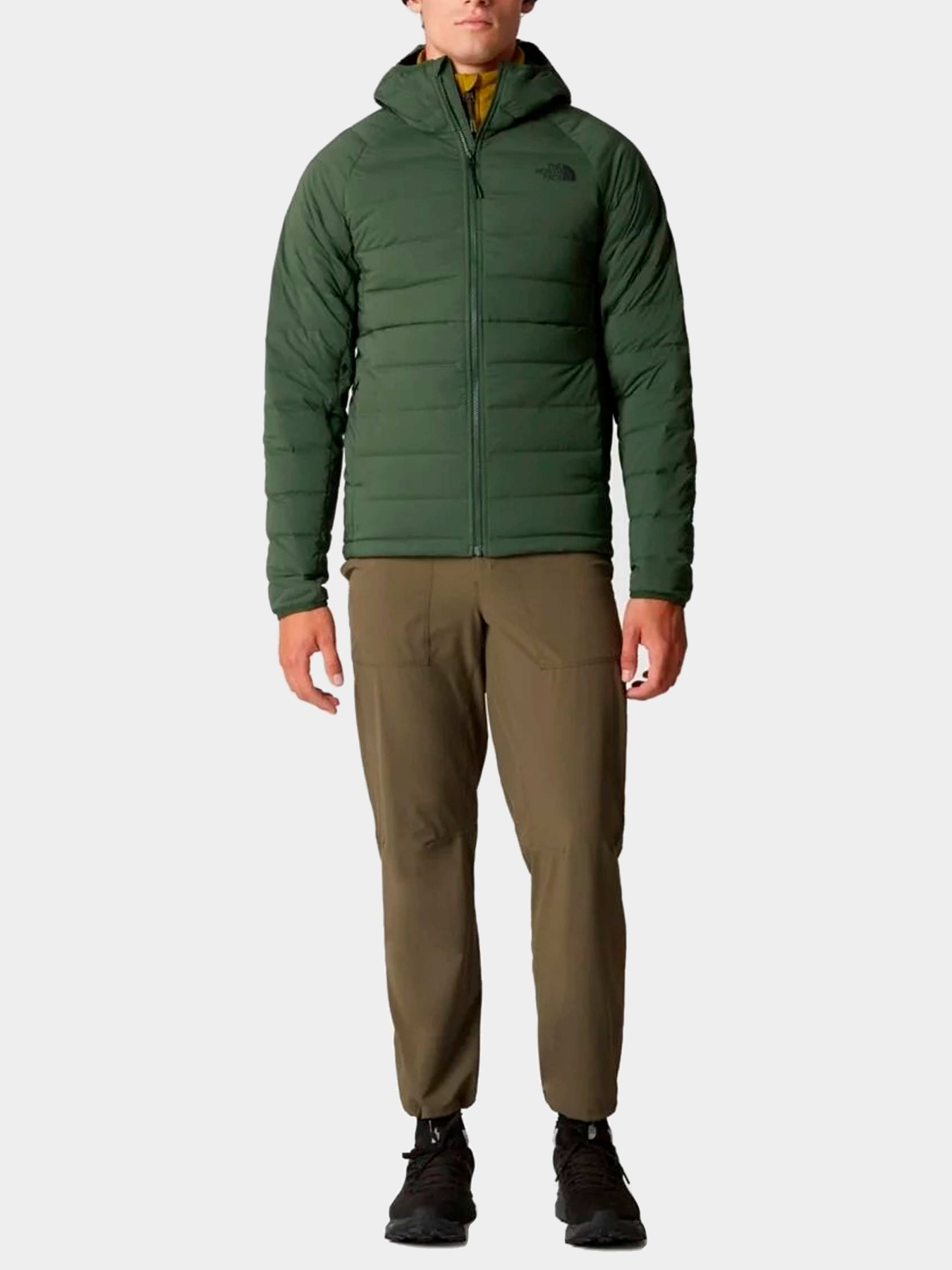 Куртки и дубленки The North Face модель NF0A7UJEI0P1 Фото