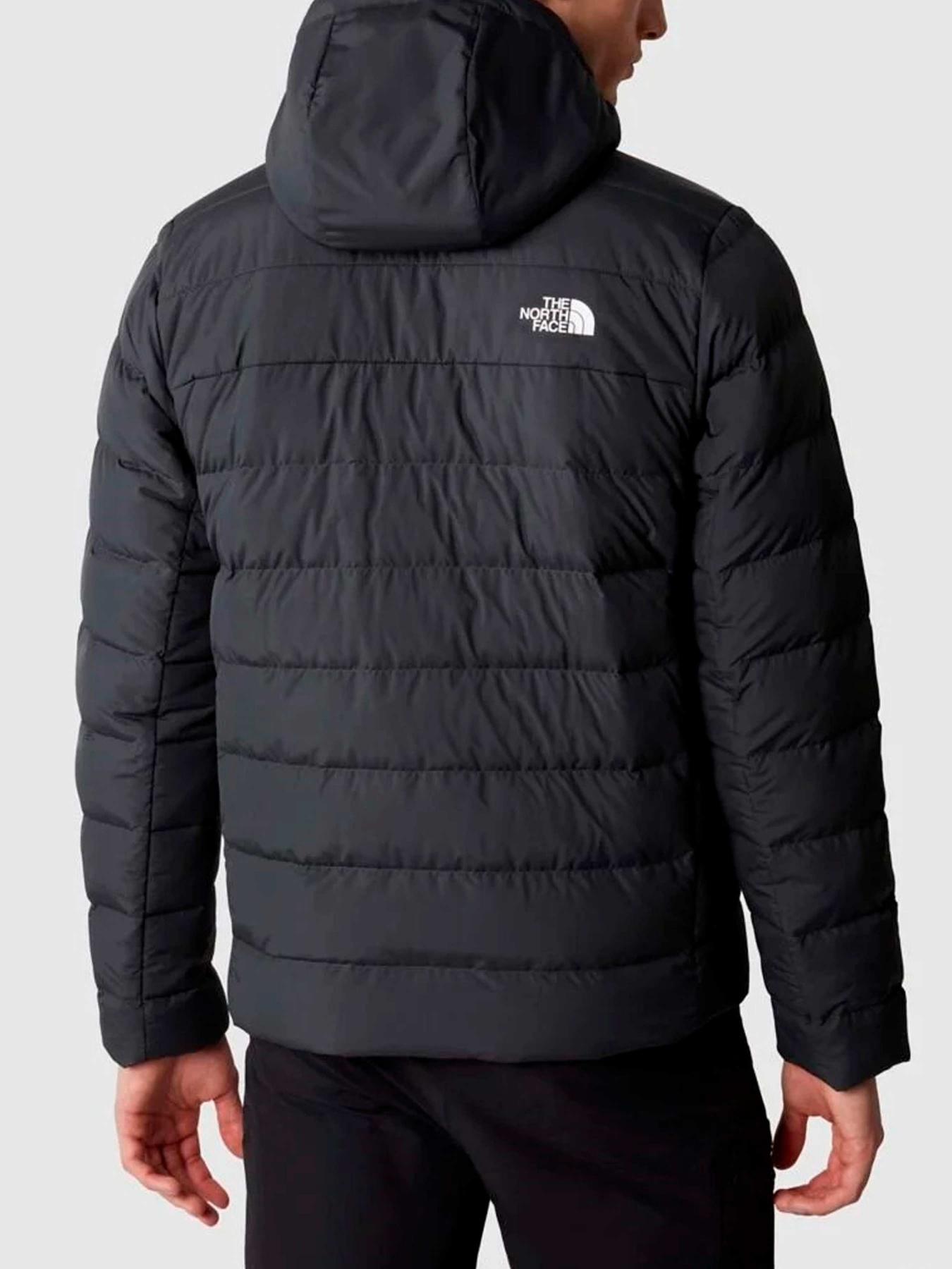 Куртки и дубленки The North Face модель NF0A84I10C51 Фото