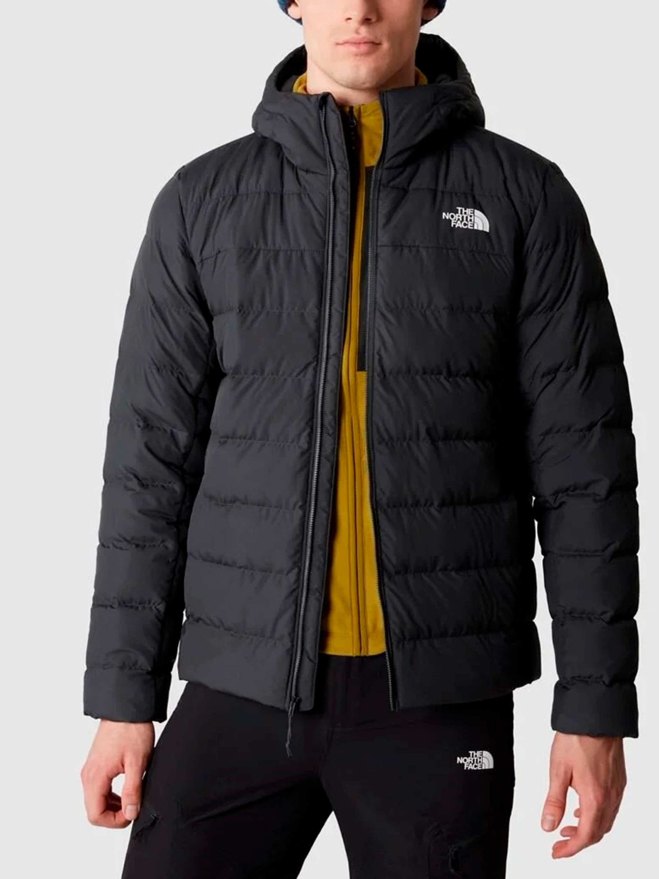 Куртки и дубленки The North Face модель NF0A84I10C51 Фото