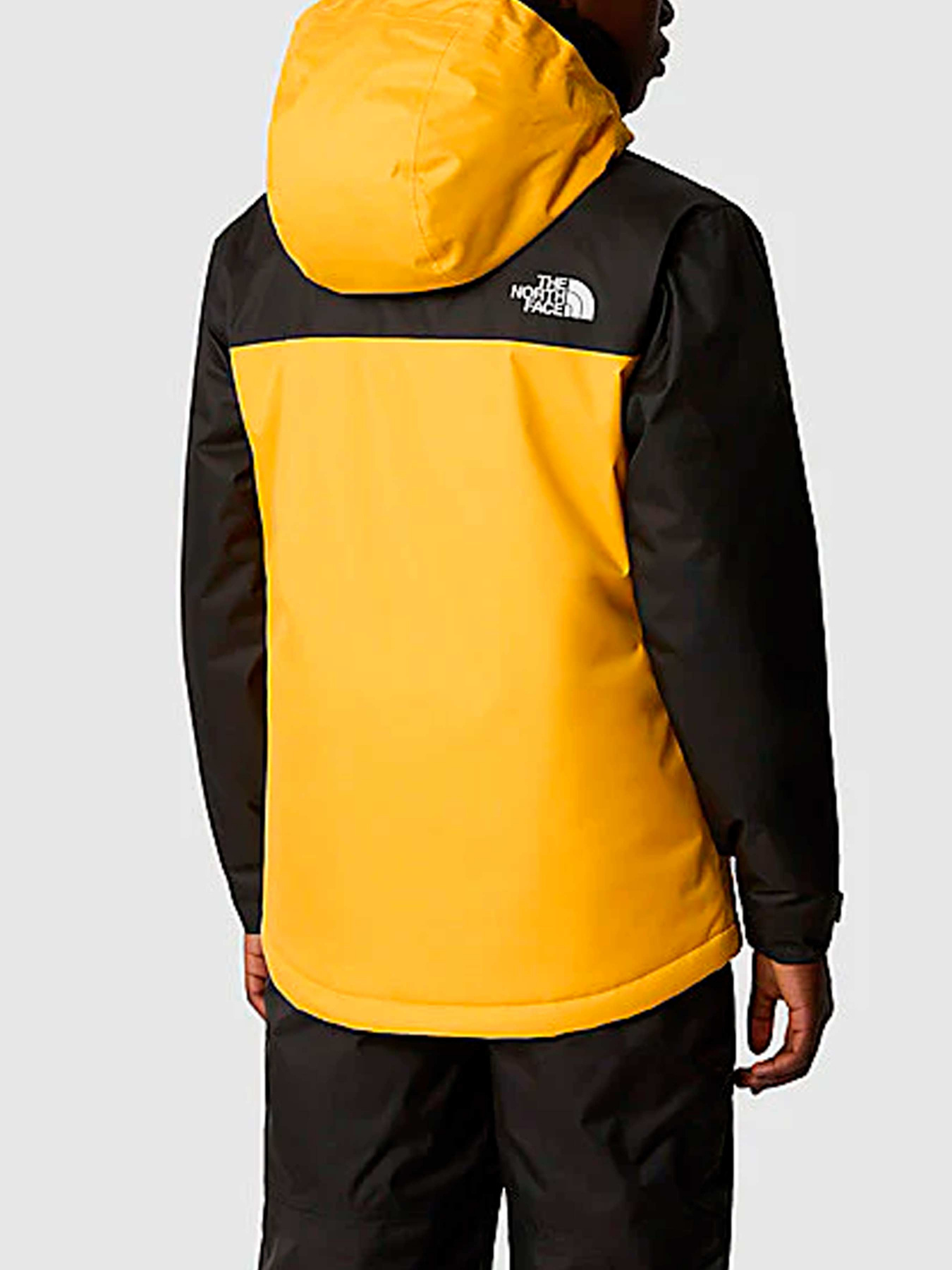 Куртки и дубленки The North Face модель NF0A8555ZU31 Фото