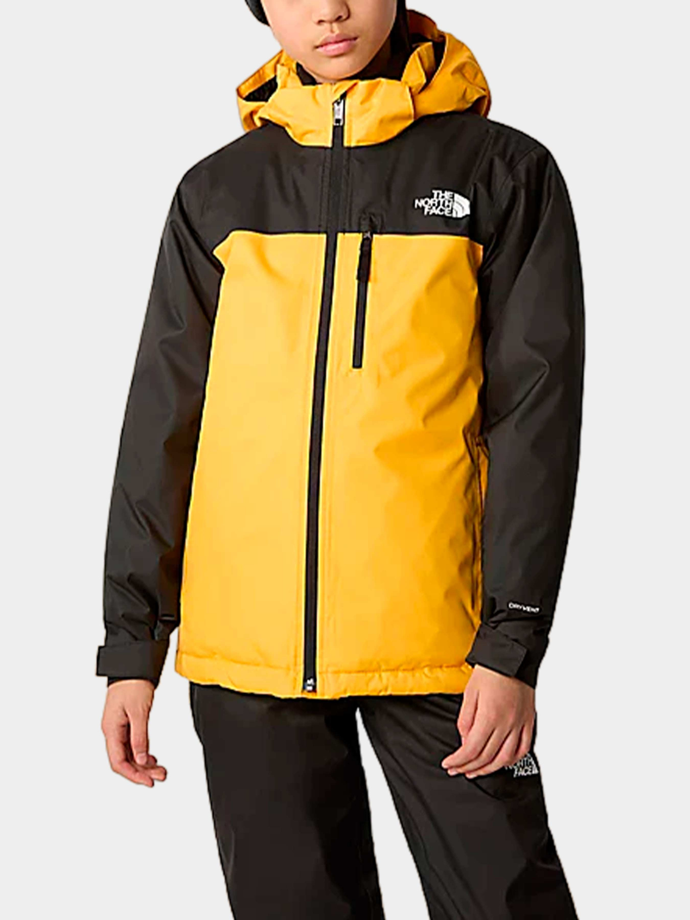 Куртки и дубленки The North Face модель NF0A8555ZU31 Фото