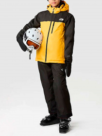 Куртки и дубленки The North Face модель NF0A8555ZU31 Фото