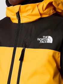 Куртки и дубленки The North Face модель NF0A8555ZU31 Фото