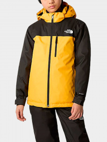 Куртки и дубленки The North Face модель NF0A8555ZU31 Фото