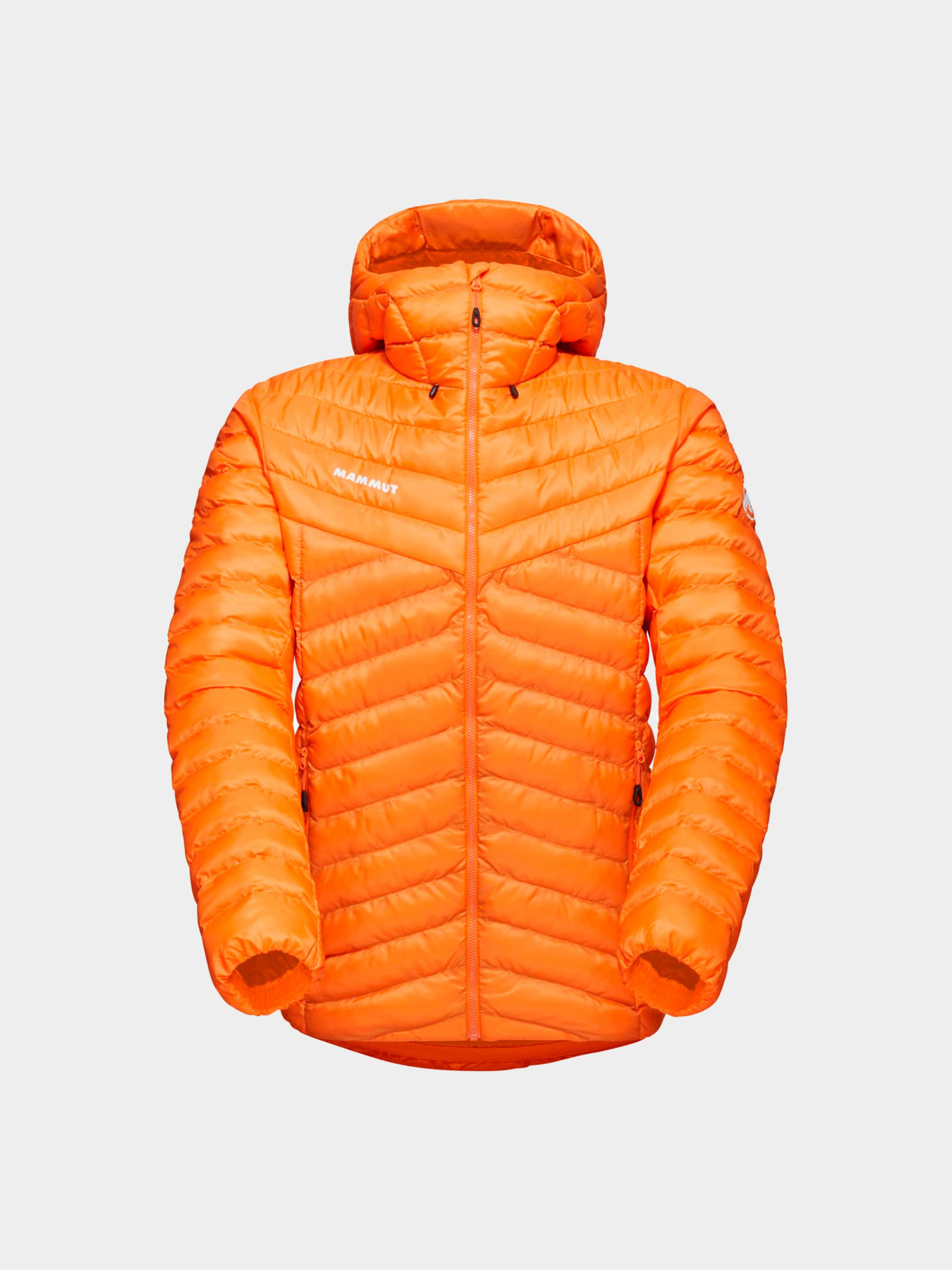 Куртки и дубленки Mammut модель 1013-01781-2259 Фото