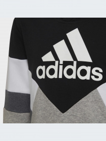 Худи и свитшоты Adidas модель HA4007-KZ Фото