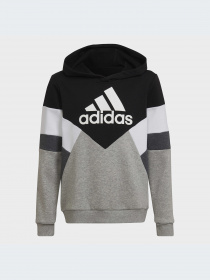 Худи и свитшоты Adidas модель HA4007-KZ Фото