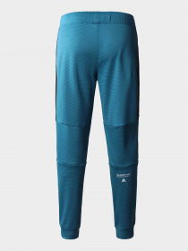Брюки The North Face модель NF0A823UES31 Фото