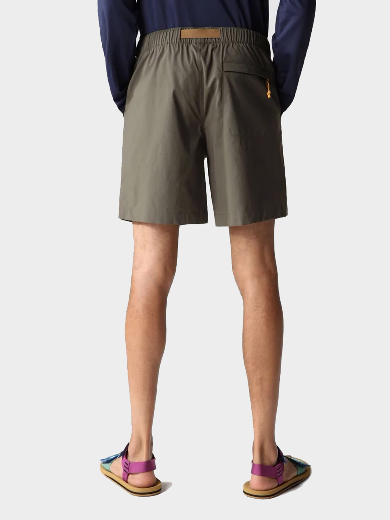 Шорты The North Face модель NF0A81WZ21L1 Фото