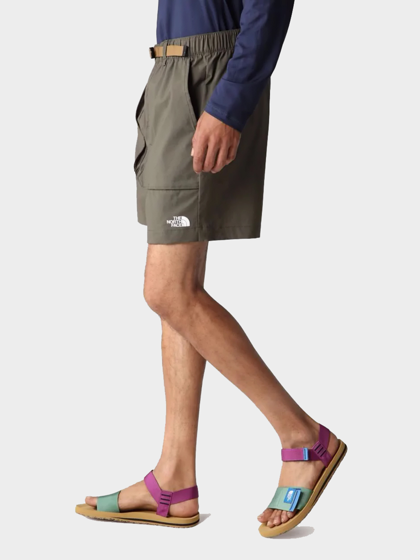 Шорты The North Face модель NF0A81WZ21L1 Фото