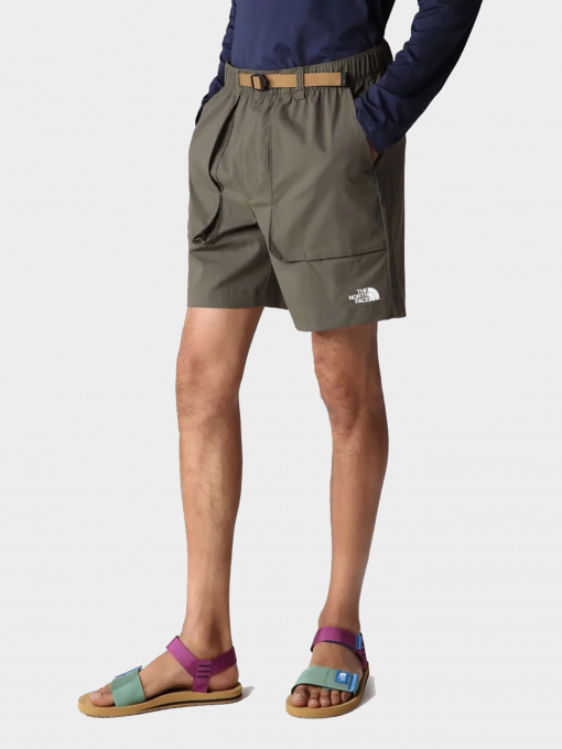 Шорты The North Face модель NF0A81WZ21L1 Фото