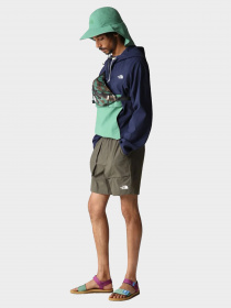 Шорты The North Face модель NF0A81WZ21L1 Фото