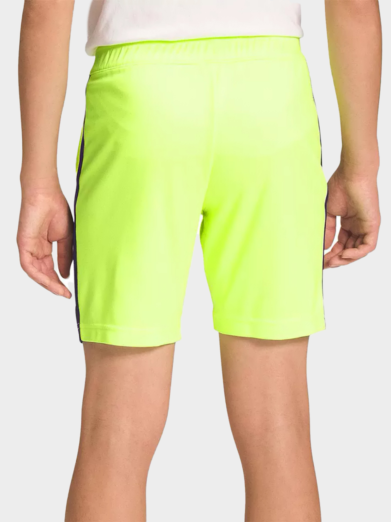 Шорты The North Face модель NF0A82DL8NT1 Фото