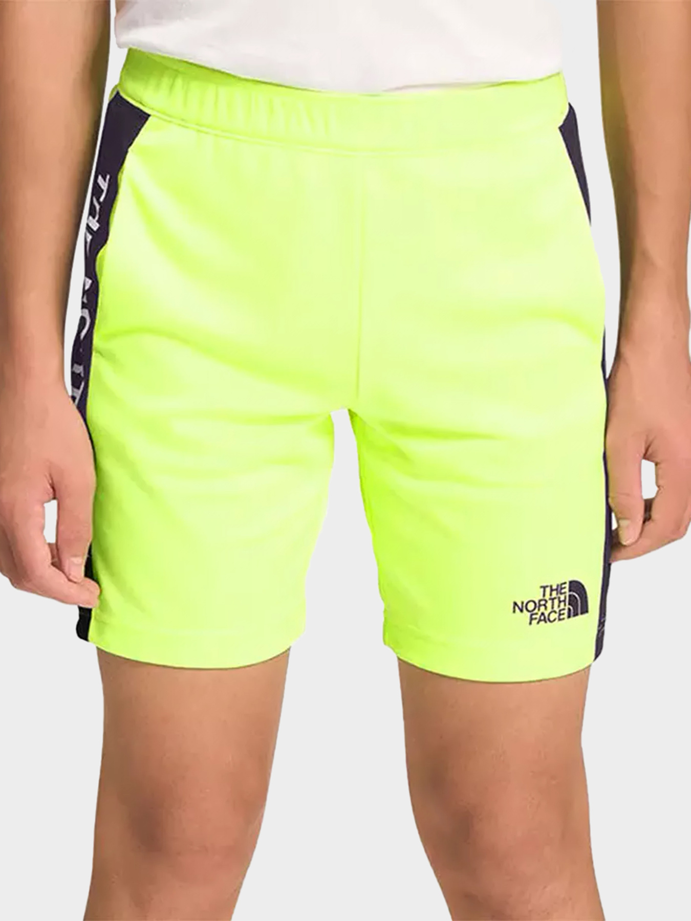 Шорты The North Face модель NF0A82DL8NT1 Фото