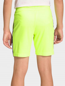 Шорты The North Face модель NF0A82DL8NT1 Фото