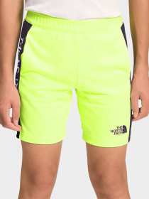 Шорты The North Face модель NF0A82DL8NT1 Фото