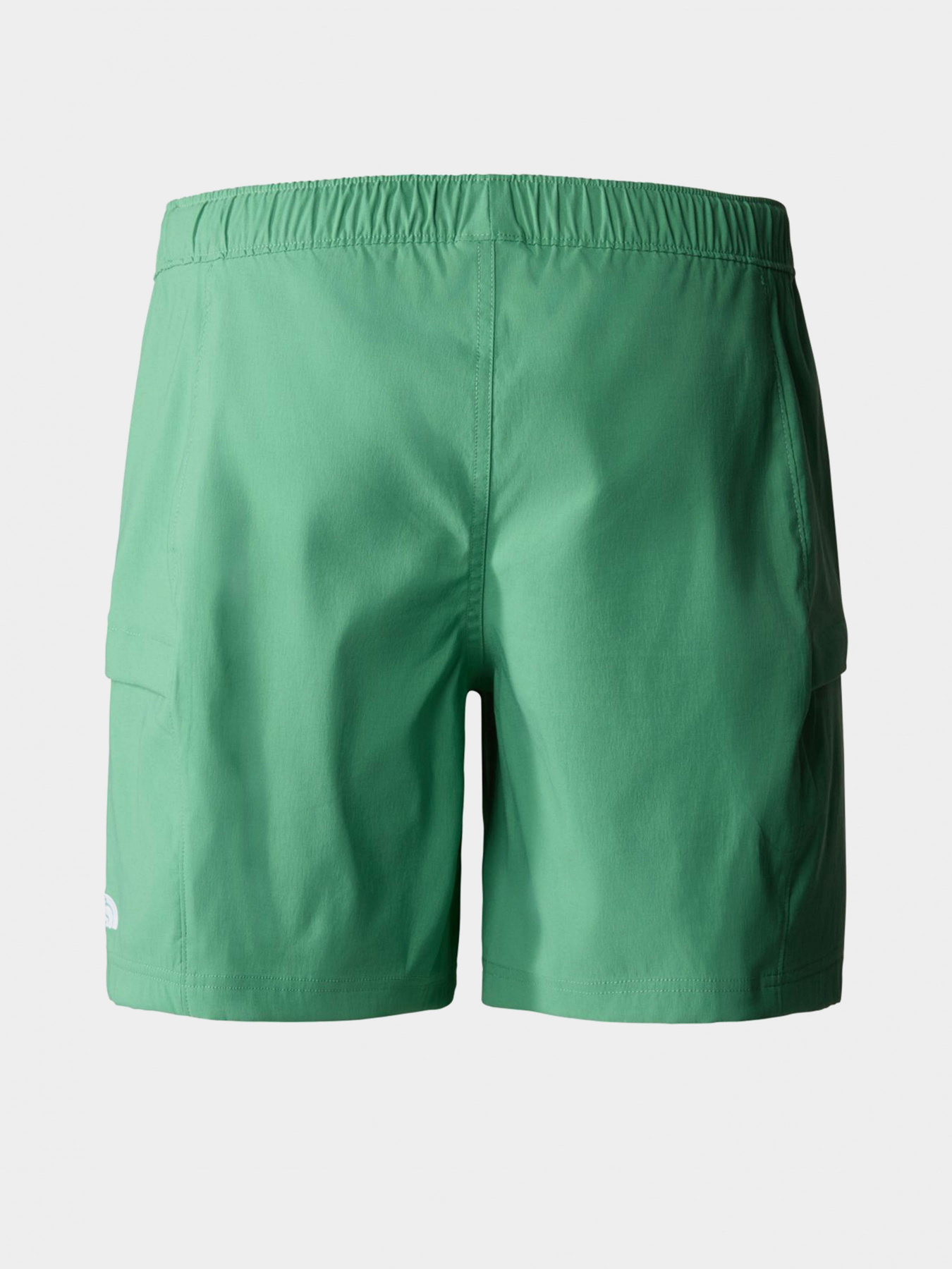 Шорты The North Face модель NF0A55V8N111 Фото