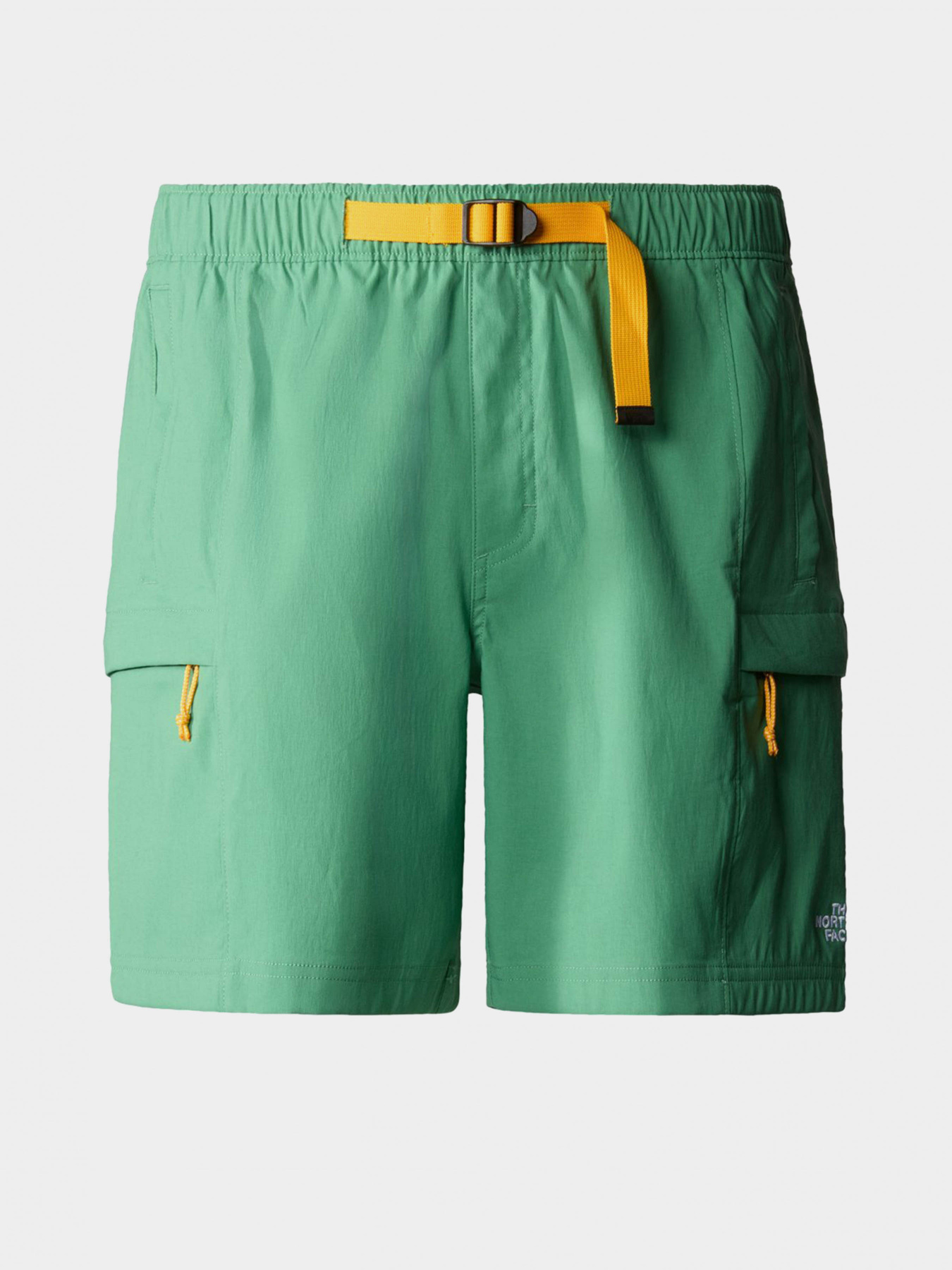 Шорты The North Face модель NF0A55V8N111 Фото