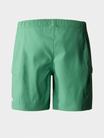 Шорты The North Face модель NF0A55V8N111 Фото