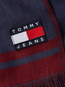 Шарфы и платки Tommy Hilfiger модель AM0AM11704-0GY Фото