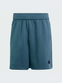 Шорты Adidas ZNE модель IS8359-KZ Фото
