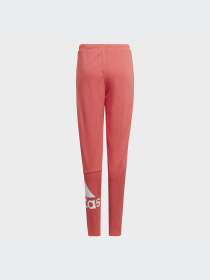 Брюки Adidas модель HE1991-KZ Фото