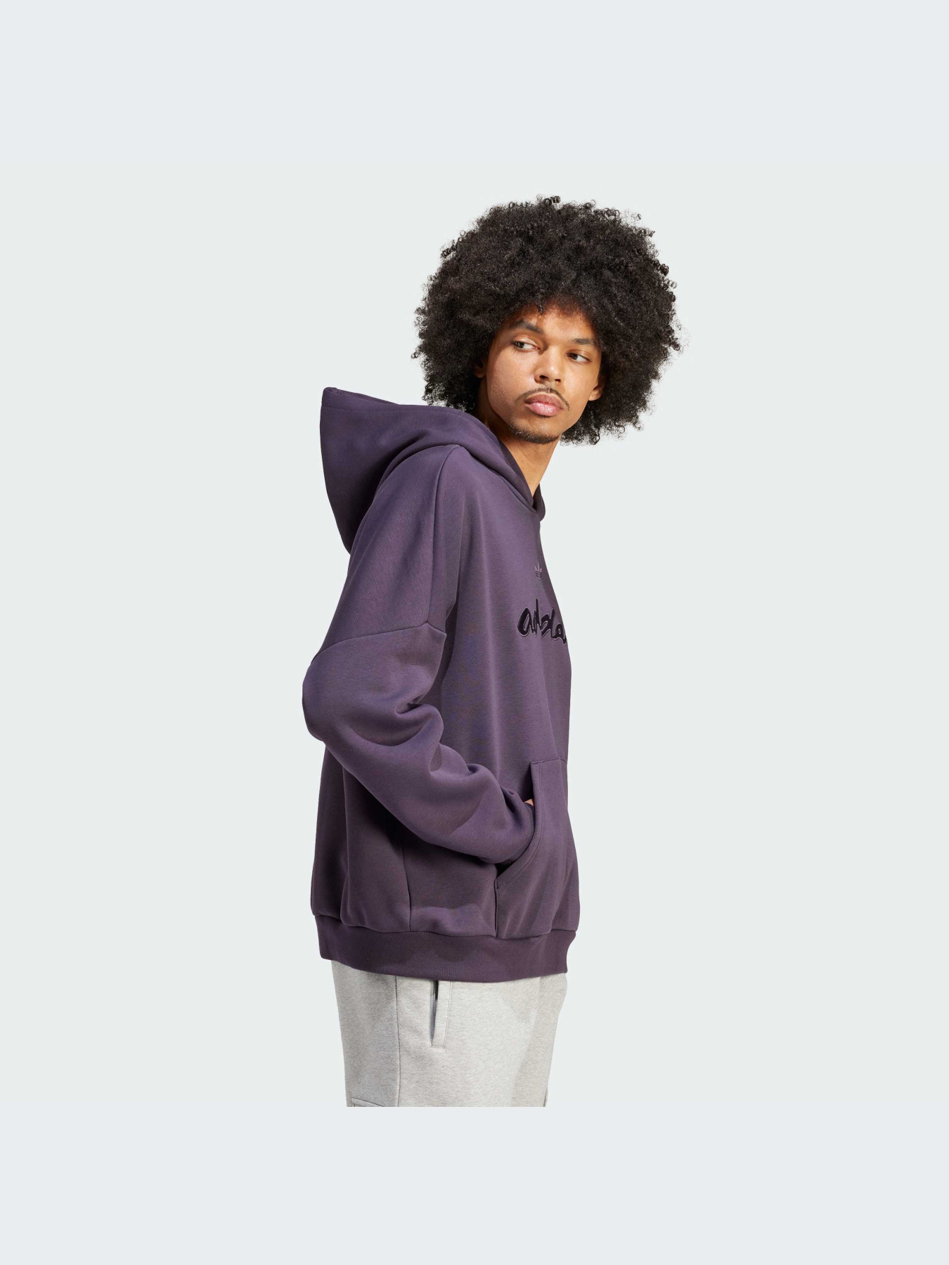 Худи и свитшоты Adidas Graphics модель IT7501-KZ Фото