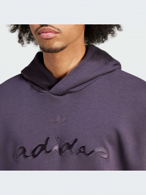 Худи и свитшоты Adidas Graphics модель IT7501-KZ Фото