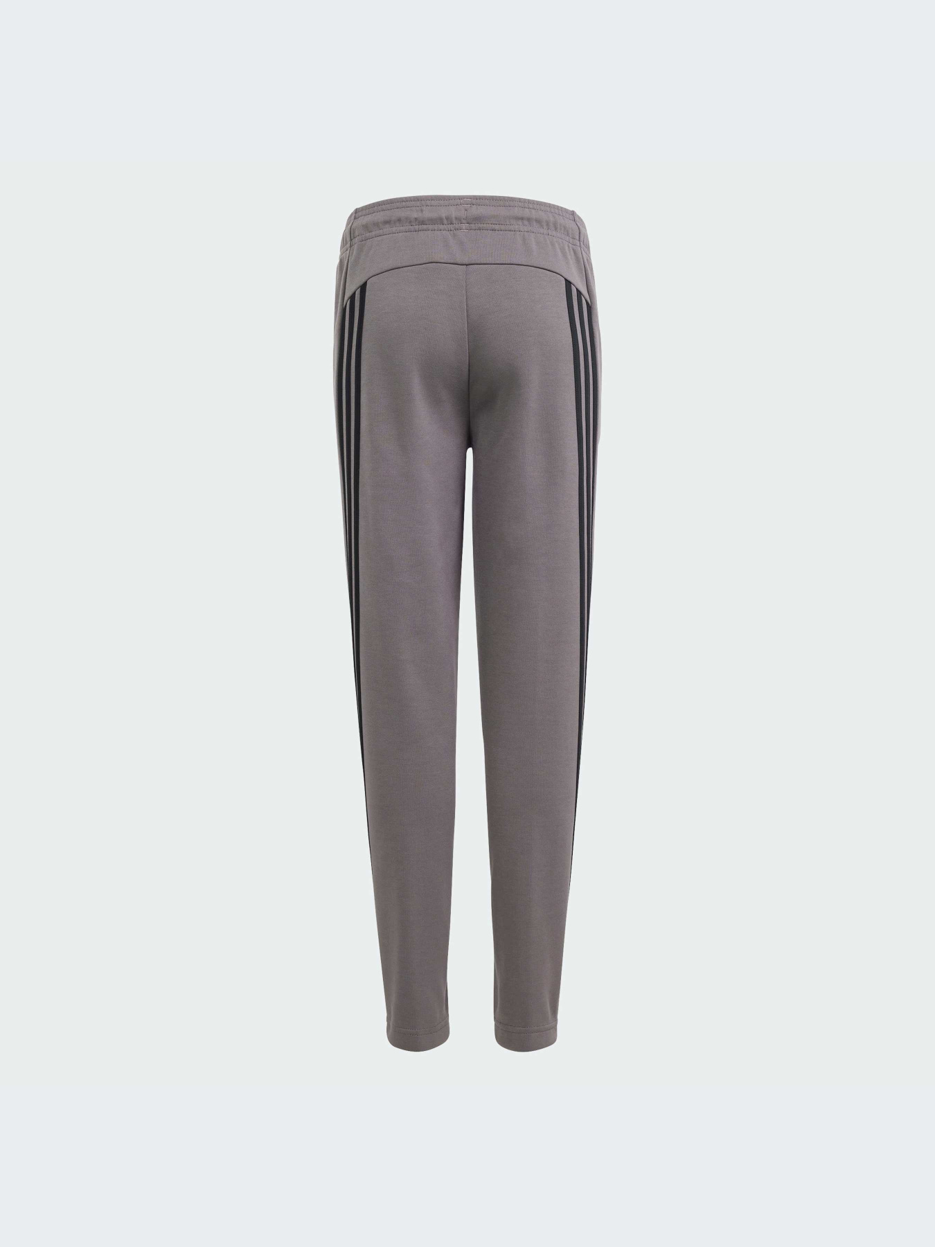 Брюки Adidas Icons модель IS4419-KZ Фото