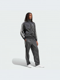 Брюки Adidas Graphics модель IS0220-KZ Фото