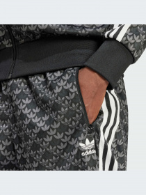 Брюки Adidas Graphics модель IS0220-KZ Фото
