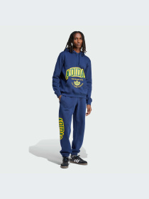 Худи и свитшоты Adidas Graphics модель IS0235-KZ Фото