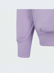 Худи и свитшоты Adidas ZNE модель IM8396-KZ Фото