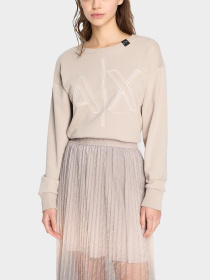 Худи и свитшоты Armani Exchange модель 3DYM11-YJEBZ-1786 Фото