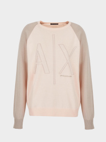 Худи и свитшоты Armani Exchange модель 3DYM1P-YME3Z-24AR Фото