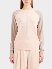 Худи и свитшоты Armani Exchange модель 3DYM1P-YME3Z-24AR Фото
