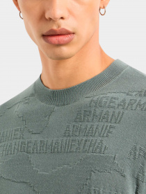 Худи и свитшоты Armani Exchange модель 3DZM6J-ZMQ7Z-5811 Фото