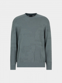 Худи и свитшоты Armani Exchange модель 3DZM6J-ZMQ7Z-5811 Фото