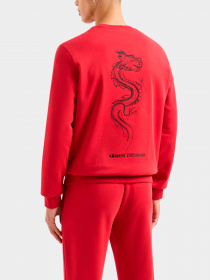 Худи и свитшоты Armani Exchange модель 3DZMDG-ZJ4XZ-1435 Фото