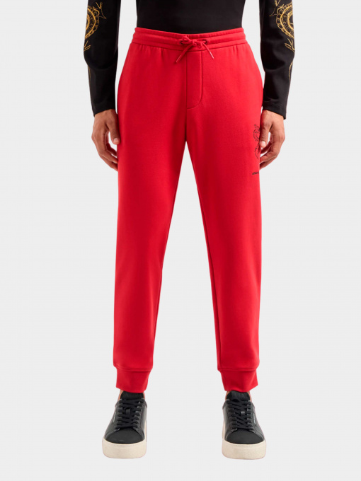 Брюки Armani Exchange модель 3DZPDG-ZJ4XZ-1435 Фото