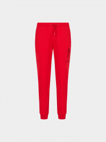 Брюки Armani Exchange модель 3DZPDG-ZJ4XZ-1435 Фото