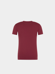 Футболки и поло Emporio Armani модель 111035-3F523-09876 Фото