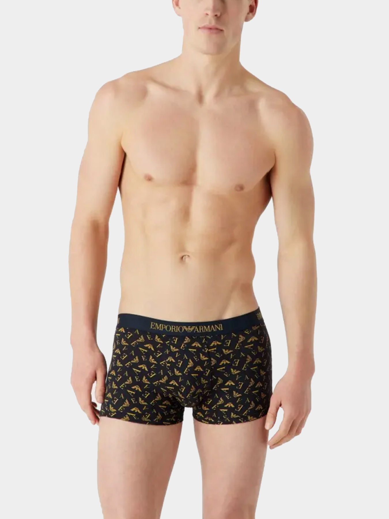 Нижнее белье Emporio Armani модель 111625-3F722-22036 Фото