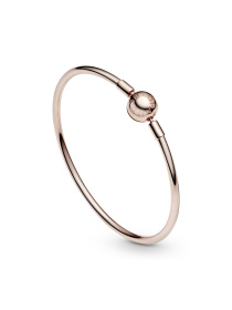 Самостоятельные PANDORA Moments модель 587132 Фото