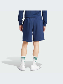 Шорты Adidas Graphics модель IS2930-KZ Фото