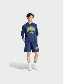 Шорты Adidas Graphics модель IS2930-KZ Фото