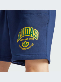 Шорты Adidas Graphics модель IS2930-KZ Фото
