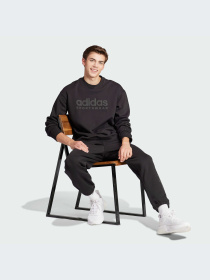 Худи и свитшоты Adidas модель IW1190-KZ Фото