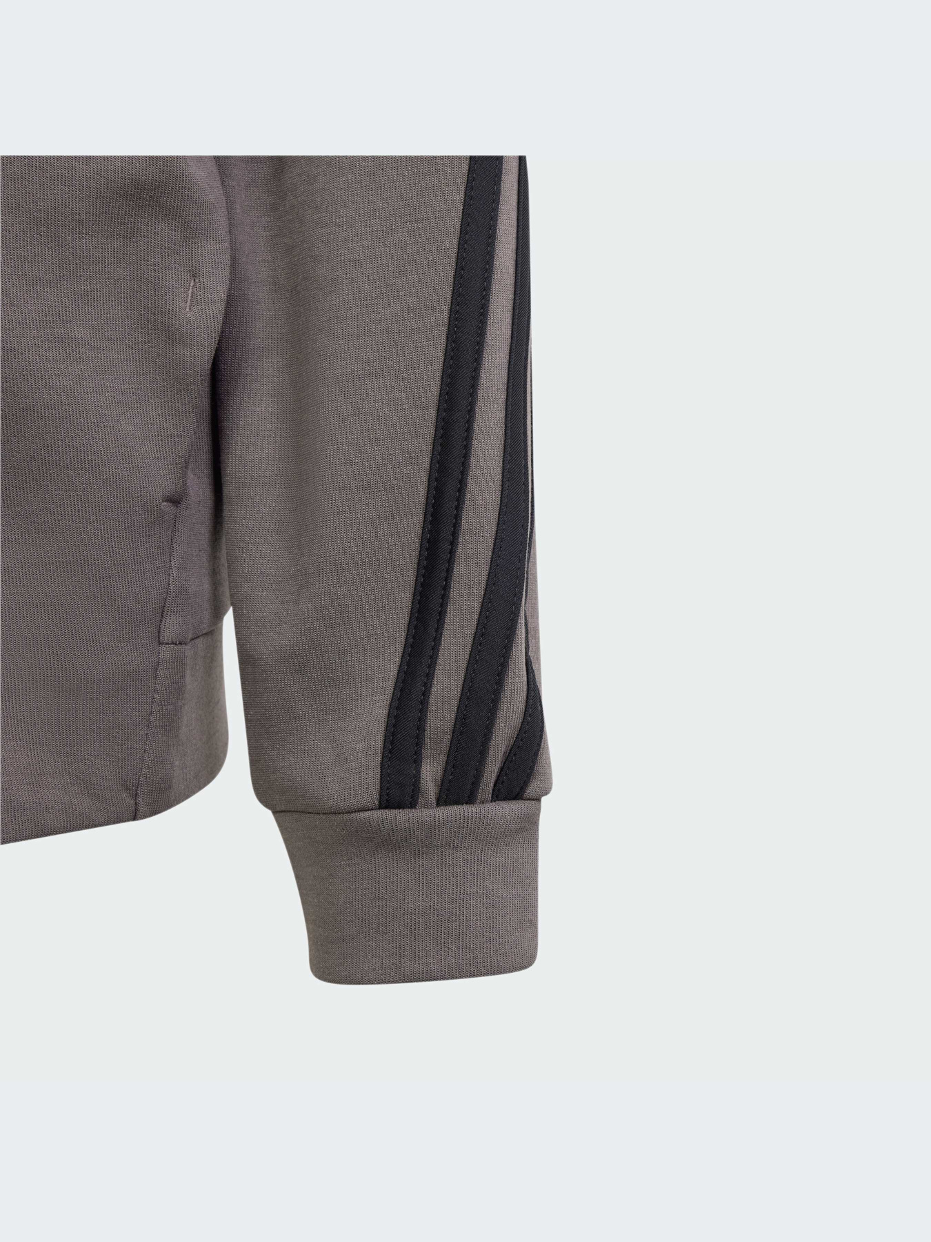 Худи и свитшоты Adidas Icons модель IS4424-KZ Фото